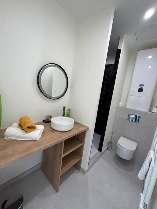Le Studio Jardin D'Eden Metro Palais De Justice Apartment ตูลูส ภายนอก รูปภาพ